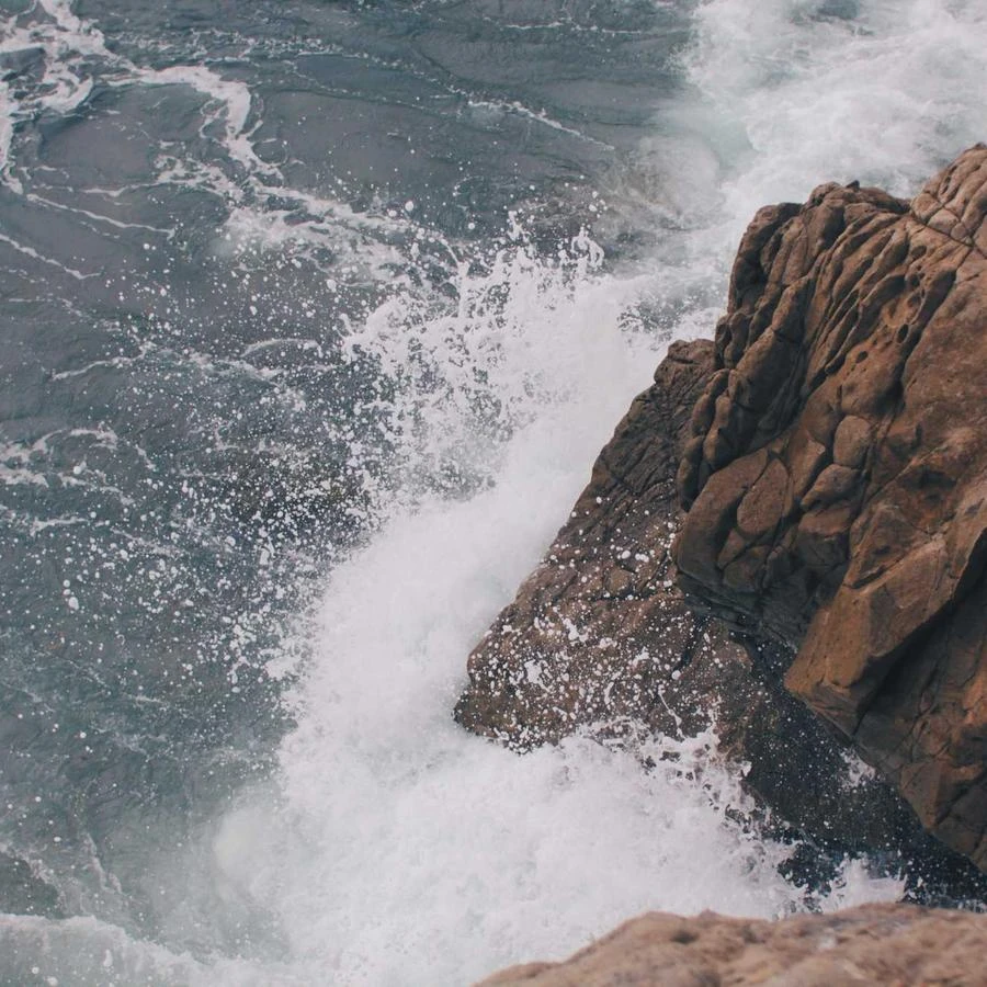 Premium Cotton Hoodie